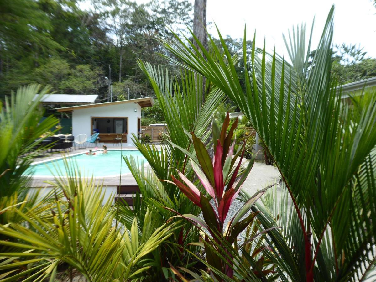 Alloro Jungle Villas Puerto Viejo de Talamanca Exterior foto